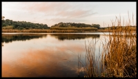 Riserva lago Preola