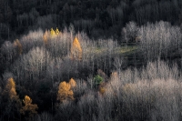 Aspettando l'inverno