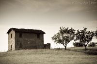 Il re della collina