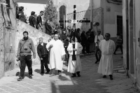 processione della Desolata