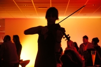 La Violinista msc