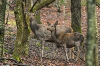 Immersi nella natura...