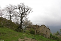 DSC00917 poggio collina