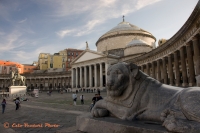 :: PIAZZA DEL PLEBISCITO ::