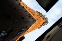 Torre Guinigi - Lucca
