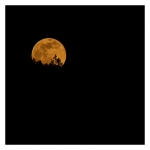 Luna colma 2021-03-28