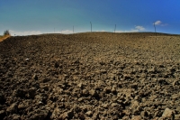 CIELO E TERRA