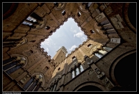 2) La torre dall'interno del Palazzo Pubblico