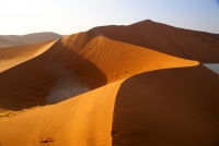 namib 1