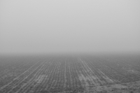 Nebbia e nebbia 27012013-00472-Modifica