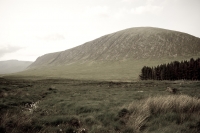 Glencoe (4)