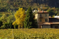 Paesaggio autunnale visto dalla finestra di casa