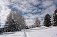 Oggi appena terminata la nevicata