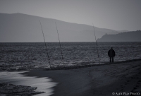 Il vecchio e il mare