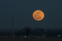 guarda che luna!