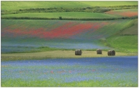 Castelluccio di Norcia