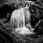 Cascata Foresta Nera