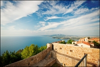 Populonia