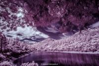 Color Infrared