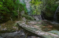 Valle delle Ferriere - Amalfi