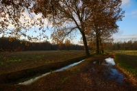 Autunno