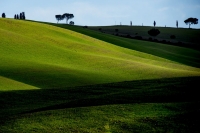 Prove di primavera