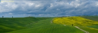 Val d'Orcia