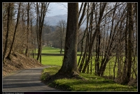 Durante la passeggiata ...