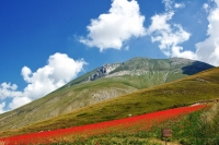 monte Vettore